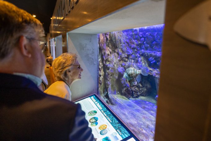 Europe_9Now's tweet photo. The Duchess of Gloucester visited the Bermuda Aquarium, Museum and Zoo in Hamilton to explore their vital environmental conservation efforts. 

#DuchessOfGloucester #Bermuda #Conservation https://t.co/nyB2PXjGFs