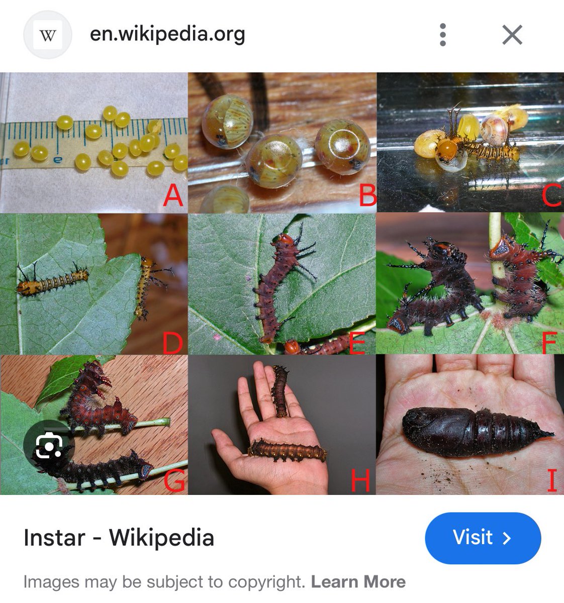 FliKi ♪ tweet media