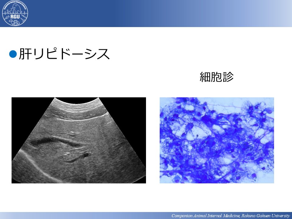 ＼📷内科診療における診断力を身に着ける！／
「消化器 Advanceコース」第２回講義スライドお見せします
▼ 詳細はこちら
academy.eduone.jp/course/detail/…