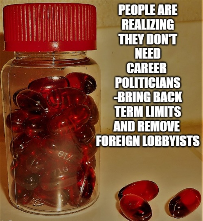 <a href="/WhiteHouse/">The White House</a> Time to put America first.