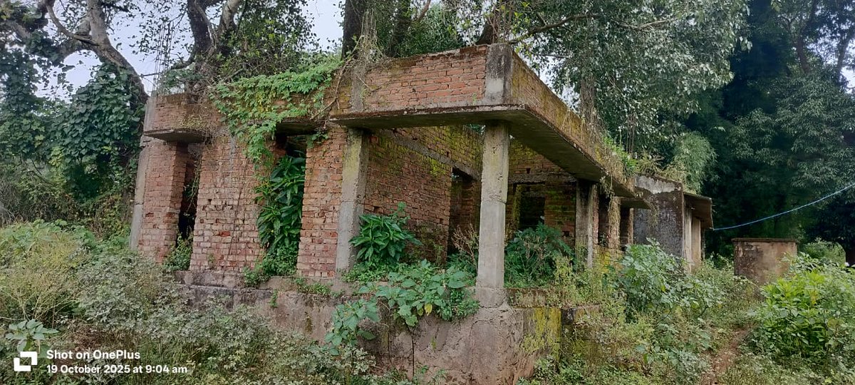 shan92648's tweet image. କୋରାପୁଟ ଜିଲ୍ଲାର ପ୍ରାକ୍ ଶିକ୍ଷାର ବିକଳ ଚିତ୍ର ୩୩୯୭ ଅଙ୍ଗନୱାଡ଼ି କେନ୍ଦ୍ର ମଧ୍ୟରୁ ୪୪୭ଅଙ୍ଗନୱାଡ଼ି କେନ୍ଦ୍ରରେ ନିଜସ୍ଵ ଘର ନାହିଁ। ନନ୍ଦପୁର ବ୍ଲକ ଆବର୍ଡା ଗ୍ରାମର ଅଙ୍ଗନୱାଡି ଘର ଦୀର୍ଘ ୪ବର୍ଷ ହେଲା ଅସମ୍ପୂର୍ଣ୍ଣ ଅବସ୍ଥାରେ ରହିଛି @CMO_Odisha @koraputdm ଦୃଷ୍ଟି ଦିଅନ୍ତୁ @WCDOdisha @MinistryWCD @dcmo_pravati