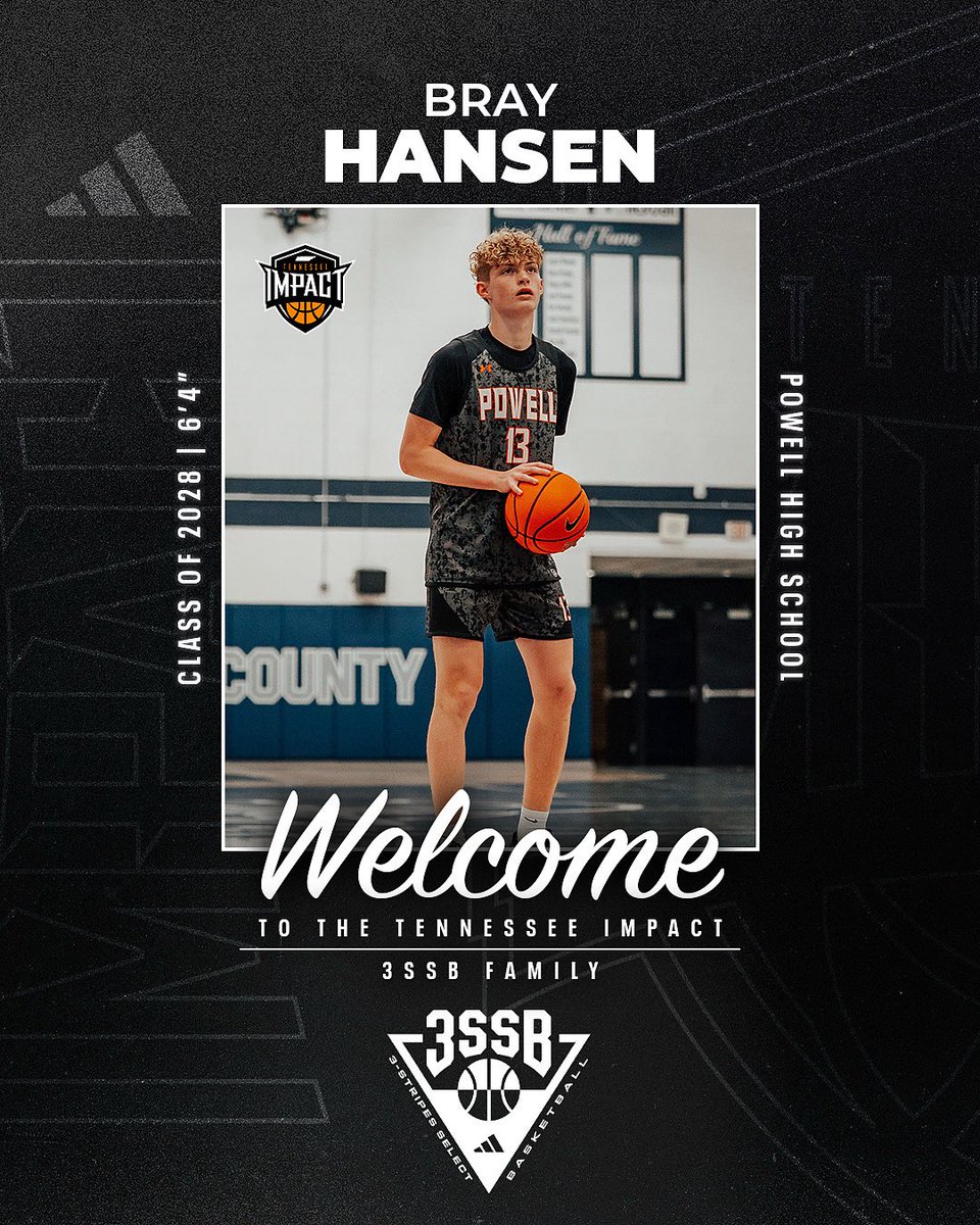 Tennessee Impact Basketball tweet media