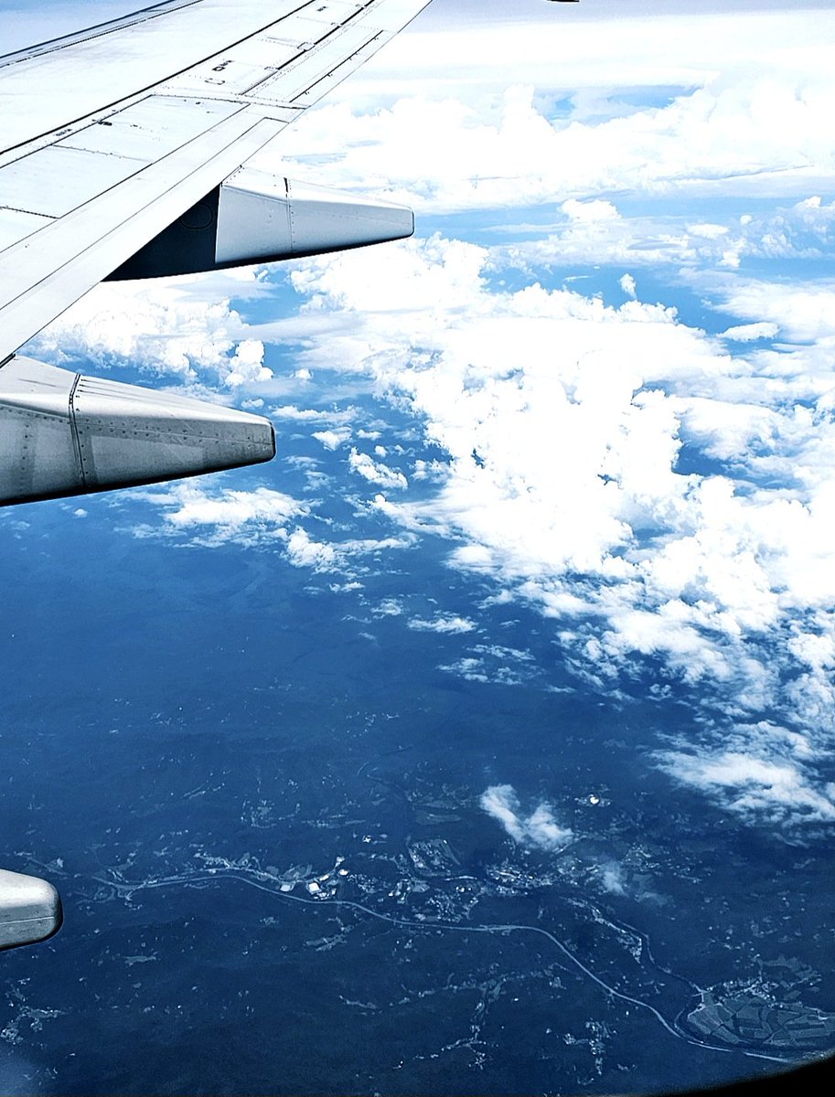 Sarah Wasik tweet media