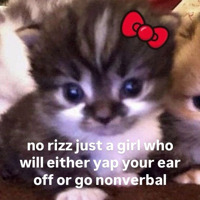 astralbaes's tweet image. 