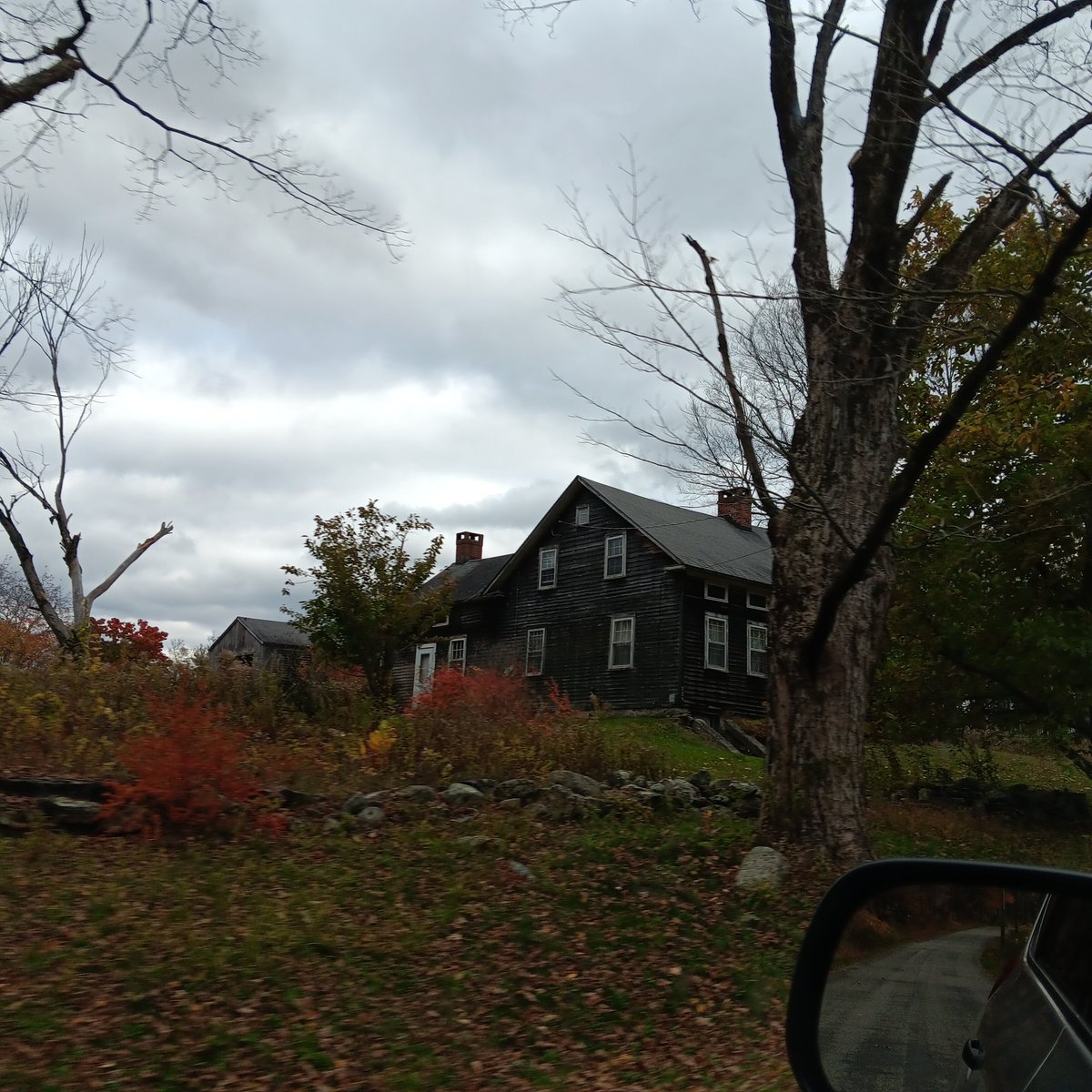 my drive to school just looks like this