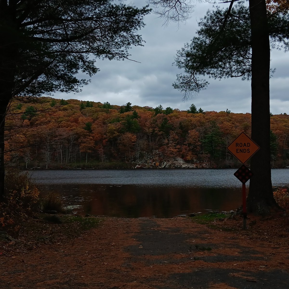 sensitive thugg (@termite_j_) on Twitter photo 