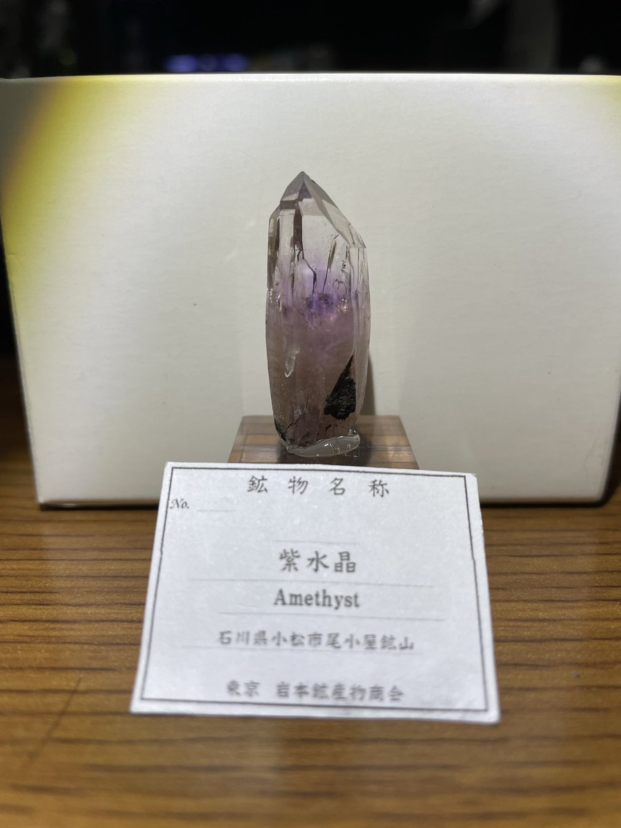 皇龍🐲鉱竜@†レグルス† on X