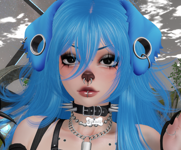 SYD !! | 🦴 tweet media