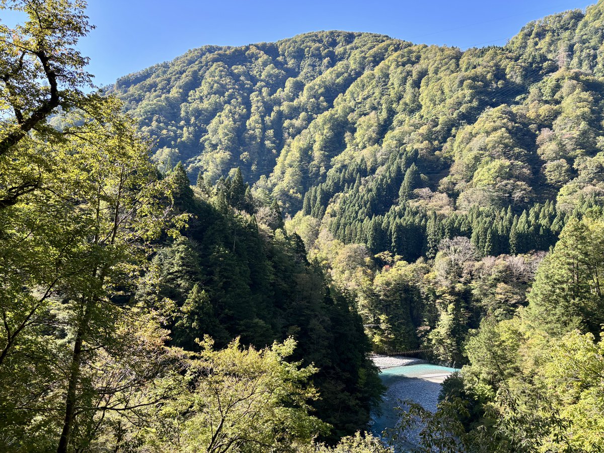 torokkodensya's tweet image. 秋晴れ☀️の黒部峡谷🎶
紅葉の色付きも徐々に増してきました🍁
車窓から峡谷の自然美をお楽しみくださ〜い🚃😃

#黒部峡谷トロッコ電車