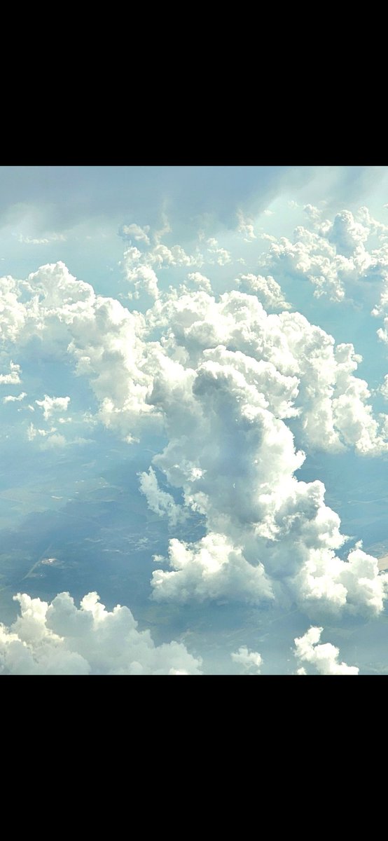 Sarah Wasik tweet media