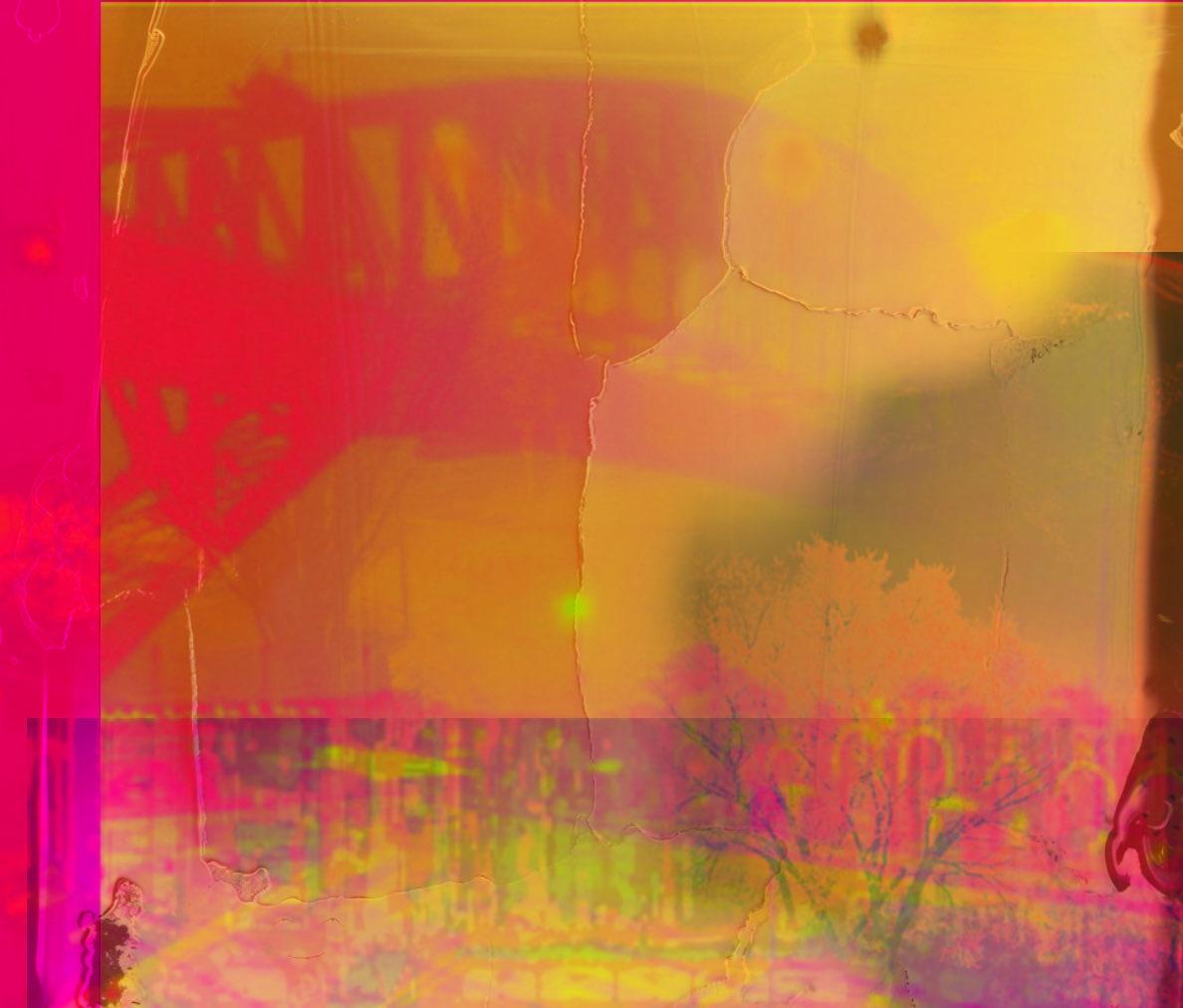 🟧thommo🟦 tweet media