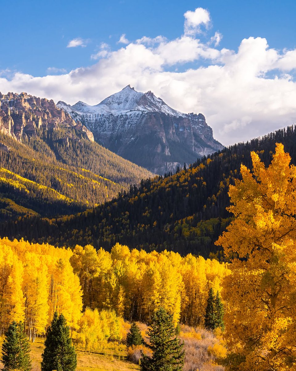 Good Morning 🍁☀️