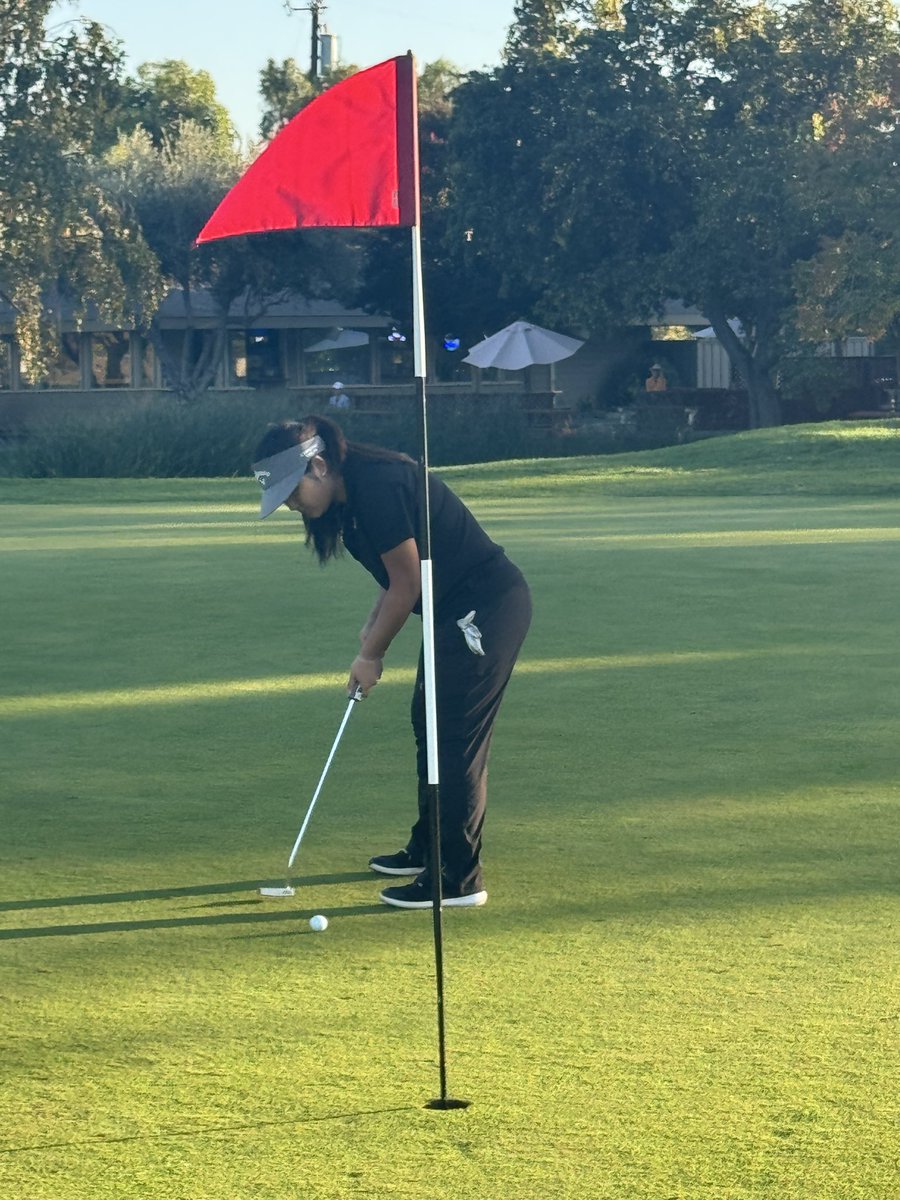 AMHS Golf tweet media