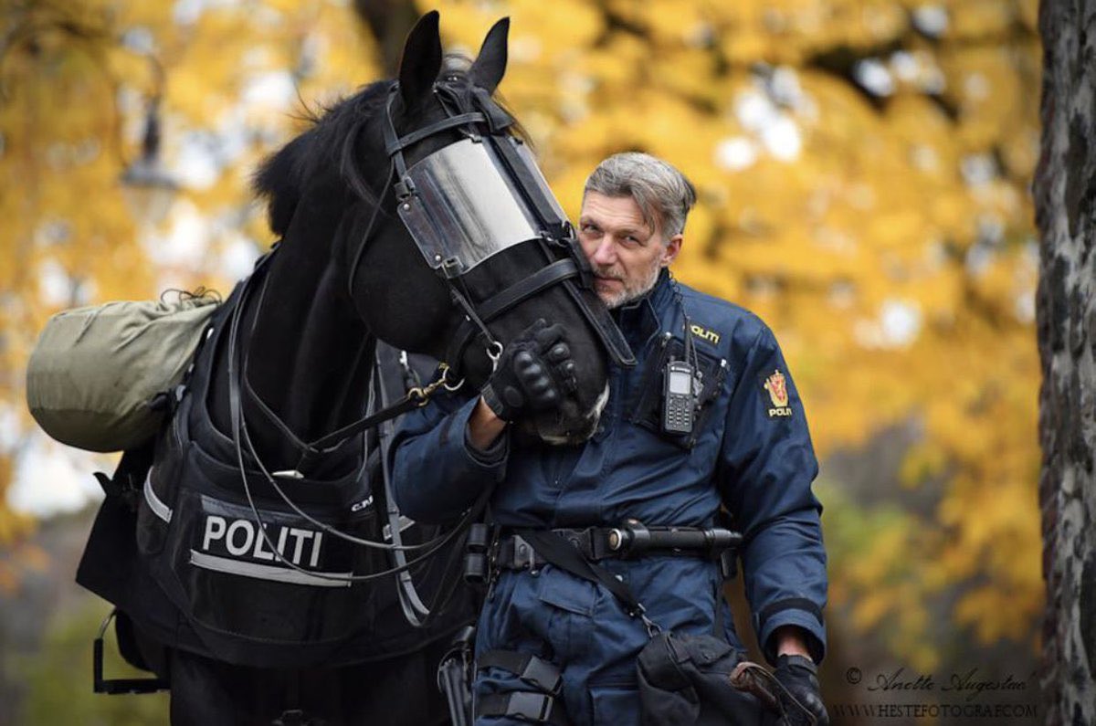 バカめ
本当に好きなのはこういうのだ