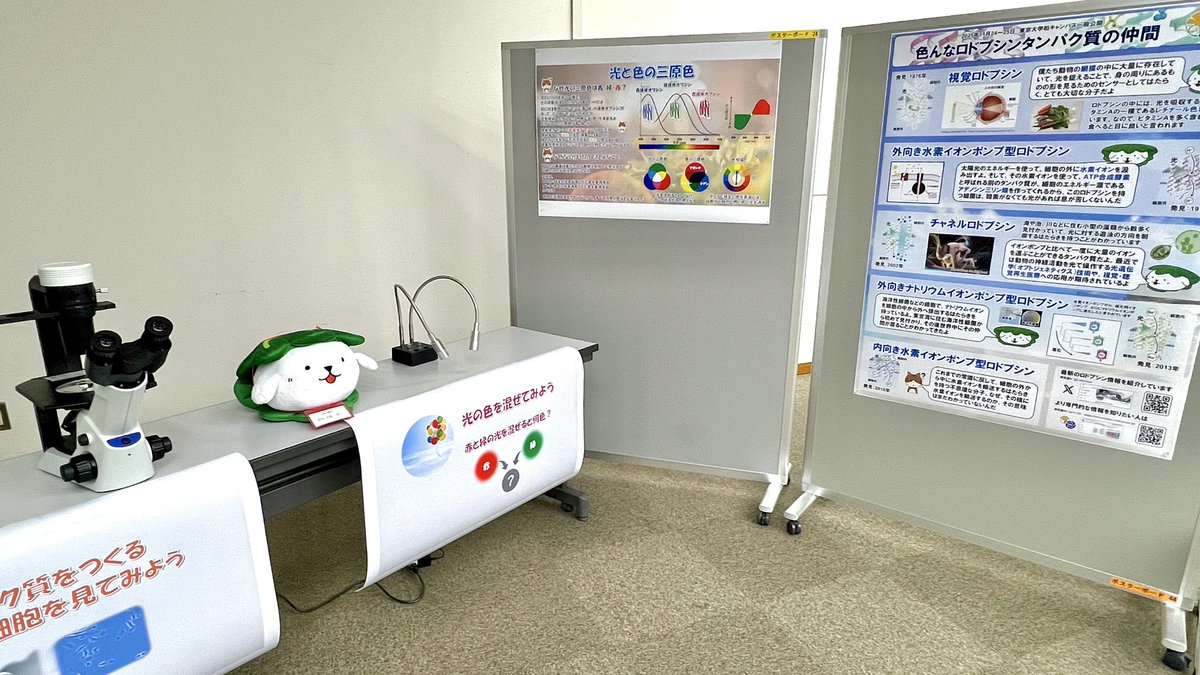 INOUE lab. (ISSP, Univ. Tokyo) (@labinoue) on Twitter photo 本日の柏キャンパス一般公開の井上研のブースでは、タンパク質と顕微鏡、30cm物性犬が皆さまをお待ちしています🏫🐶🌿 本日の柏キャンパス一般公開の井上研のブースでは、タンパク質と顕微鏡、30cm物性犬が皆さまをお待ちしています🏫🐶🌿
