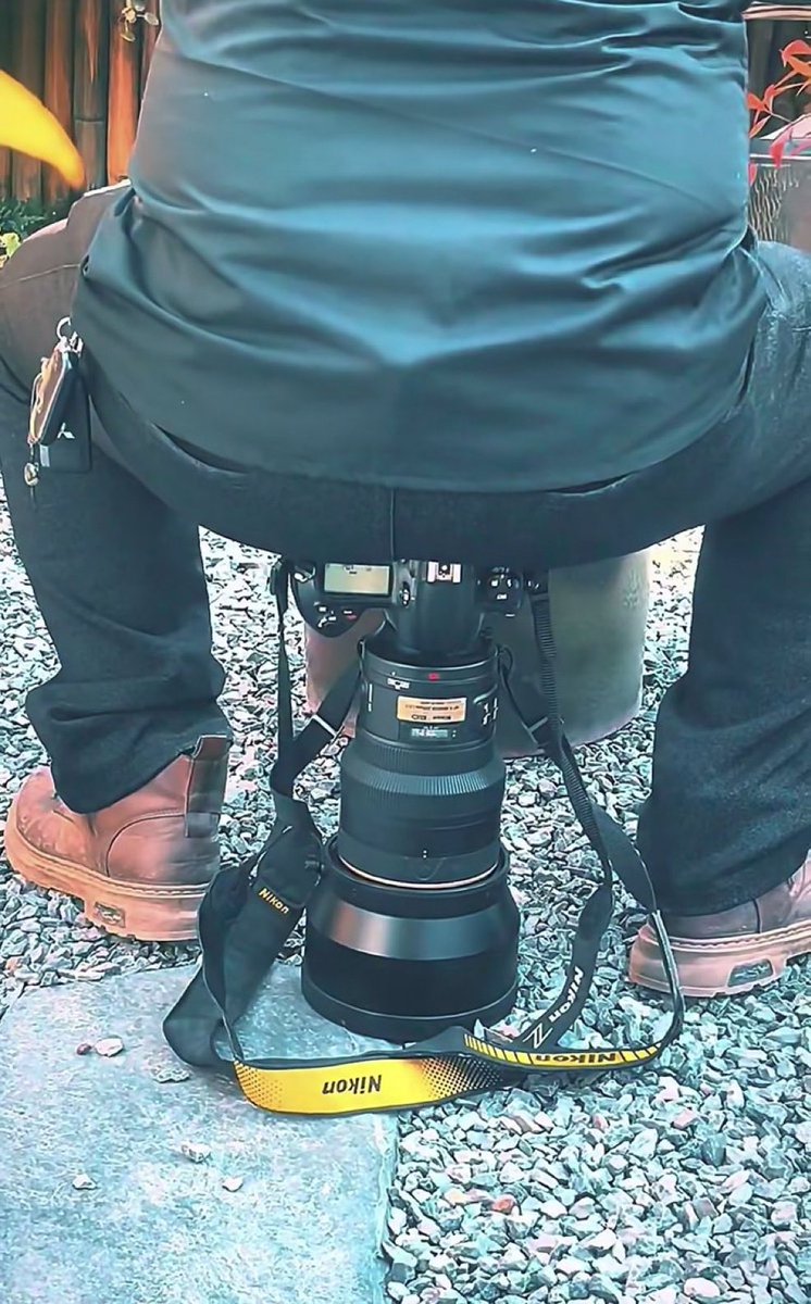 Flowr Pit Stifler Era tweet media