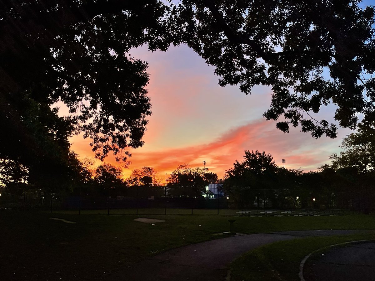 Taken And Made #296: Morning’s Canvas.