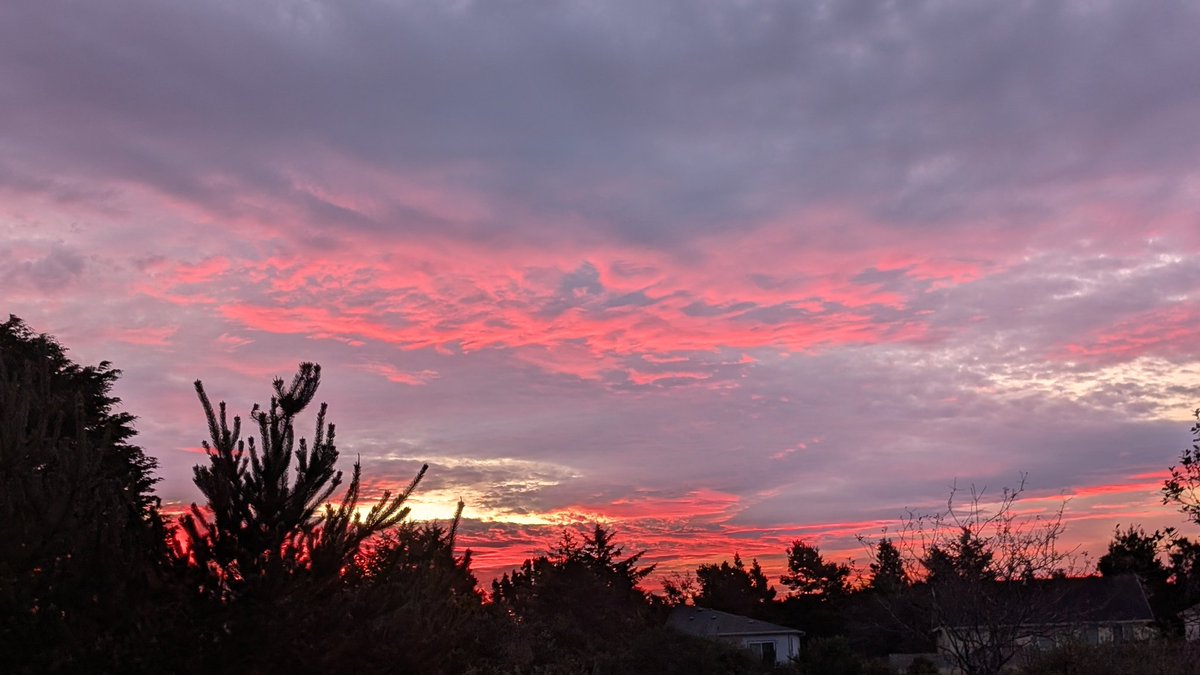 Jefferson tweet media