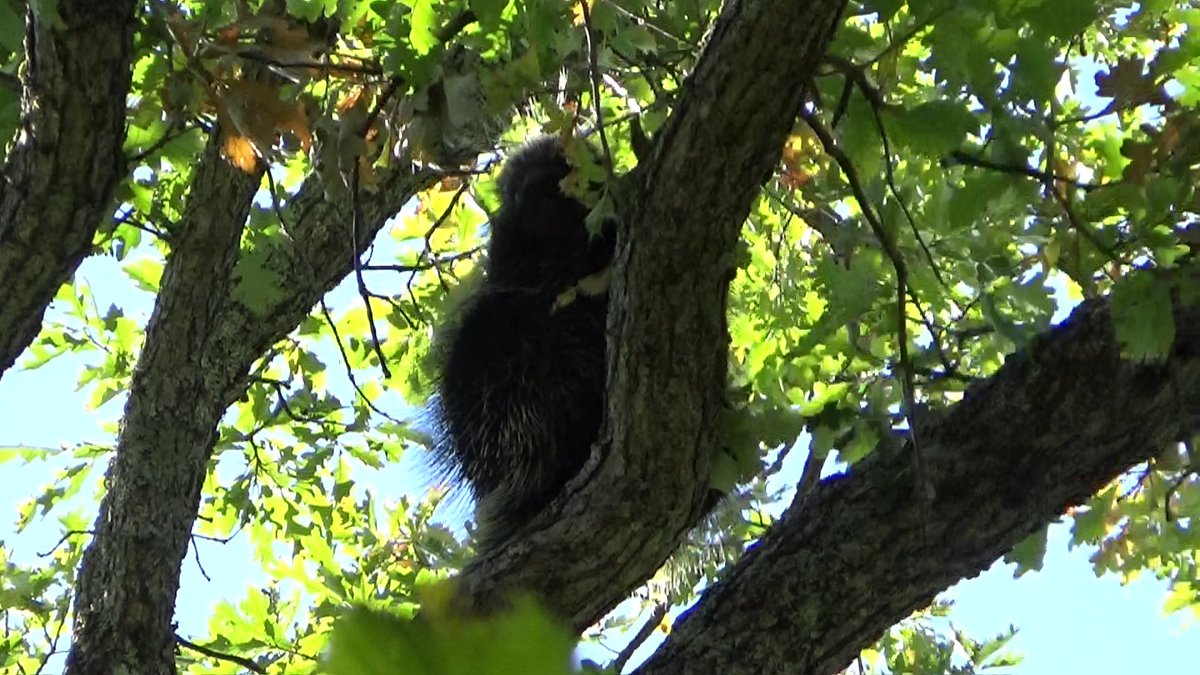 AN INTERESTING DAY TO YOU!
<a href="/RuoXi31355/">若松実喜男</a> 
<a href="/ghilbatoro/">圧倒的shimayoshi</a> <a href="/55iCA8UxJkfhhEc/">飲んべえ</a> <a href="/kaoribatake/">香り畑(somenuno)ヨコハマハンドメイドマルシェ11月1,2日パシフィコ横浜　J45</a> <a href="/photoaotonao/">あおとなお</a> <a href="/A3B2_SiO4_3/">KeiM</a> <a href="/Ngkz_Ishichan/">いしちゃん</a> <a href="/tetutora334/">てっちゃん</a> <a href="/hashiru_higuma/">走るヒグマ🐻</a> <a href="/Dokokoko3/">Doko koko</a> <a href="/u_zensai_y/">農業生産法人　然菜</a> <a href="/kagayaki604/">光🍀✽.｡.:・ﾟ</a> <a href="/TBbgWOBzTx2Bgu4/">きょたささらぞう</a> <a href="/train115to227r/">マスカット鉄道</a> <a href="/morinagachalk/">森永チョーク</a> <a href="/poliwag_moon/">ニョロモファン</a> <a href="/CROWSOFGANGSTA/">愚連の鴉</a> <a href="/hiruma_kuki/">晝間玖生</a>