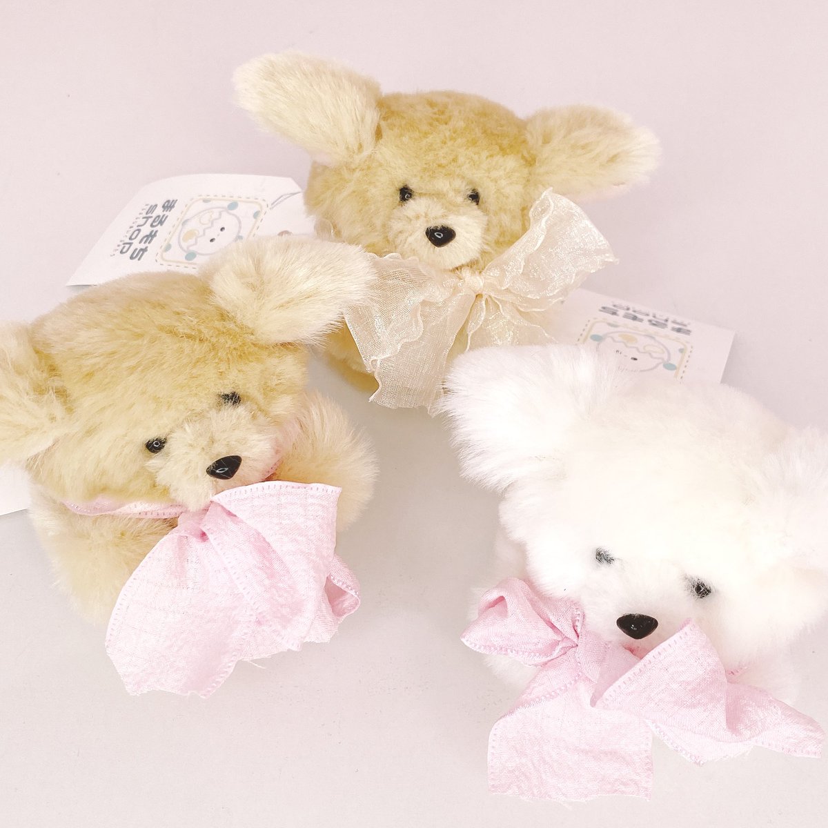 まるもちshop 𓈒◌ (@kuma_kame_) / Posts / X