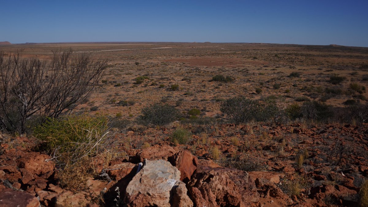 OrpheusUranium tweet media