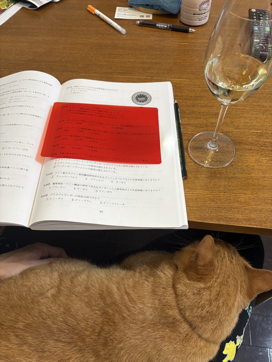 shutamaru558's tweet photo. 昨晩はしゅうちゃんと、今朝はまるちゃんと一緒にお勉強しました🐈🐈‍⬛💕 https://t.co/u4hIKxy8tM