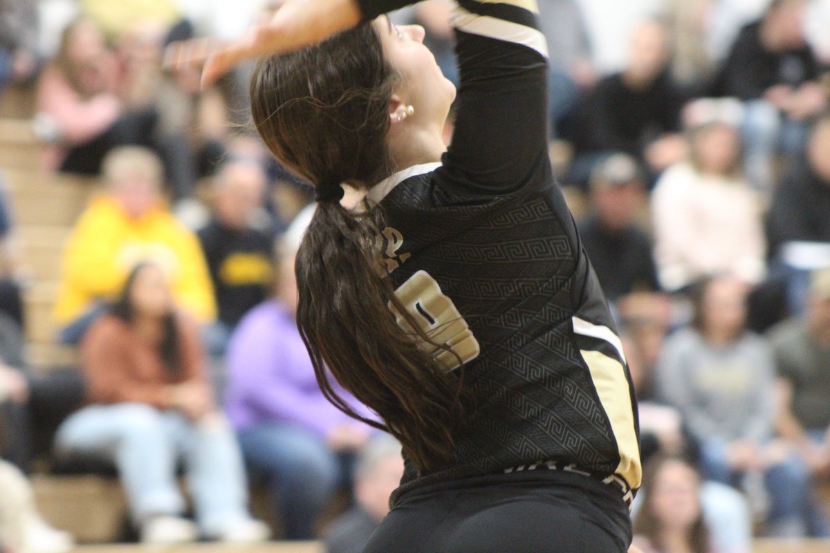 Paul Bowker tweet media