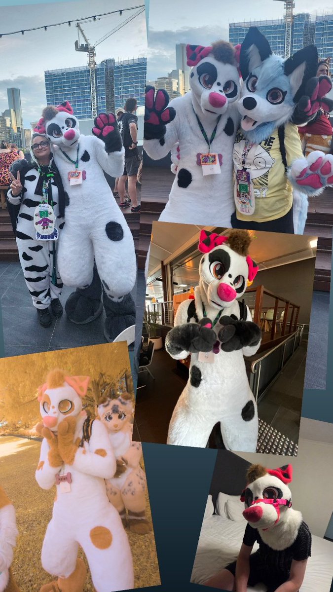 H͓̽a͓̽l͓̽e͓̽n͓̽ 🔜 FurDU 26 tweet media