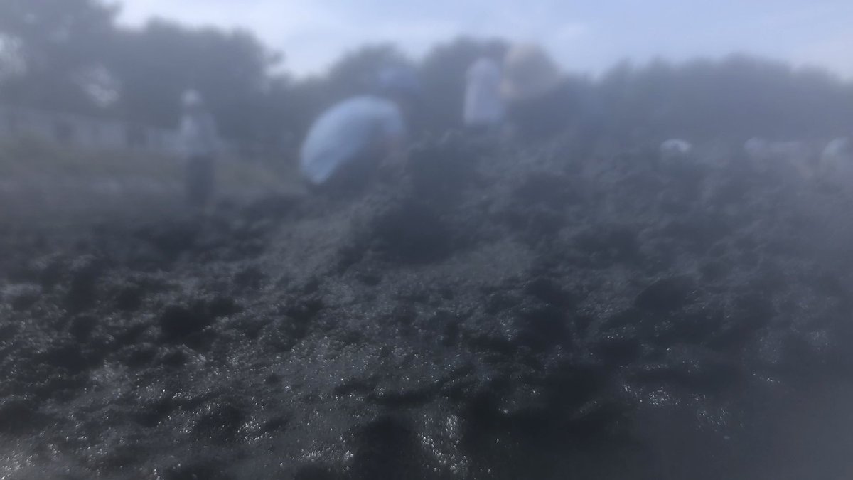 satomimagae tweet media