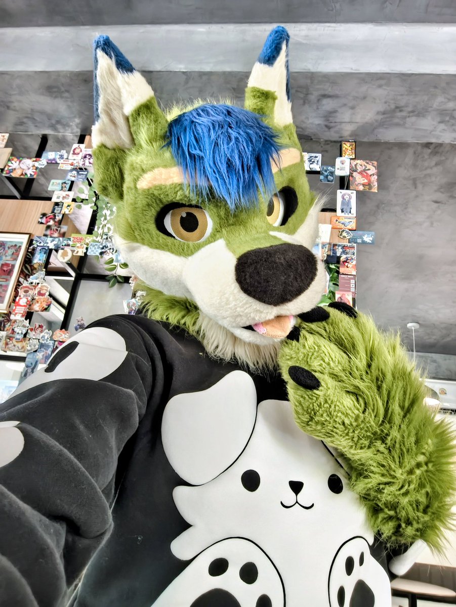 Feeling cute :3c
#FursuitFriday