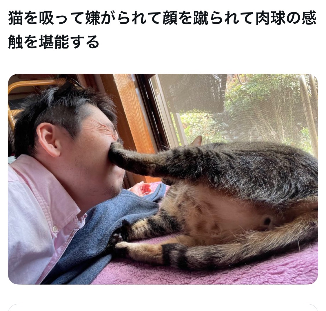 Pちゃん (@pchan_ny3) / Posts / X