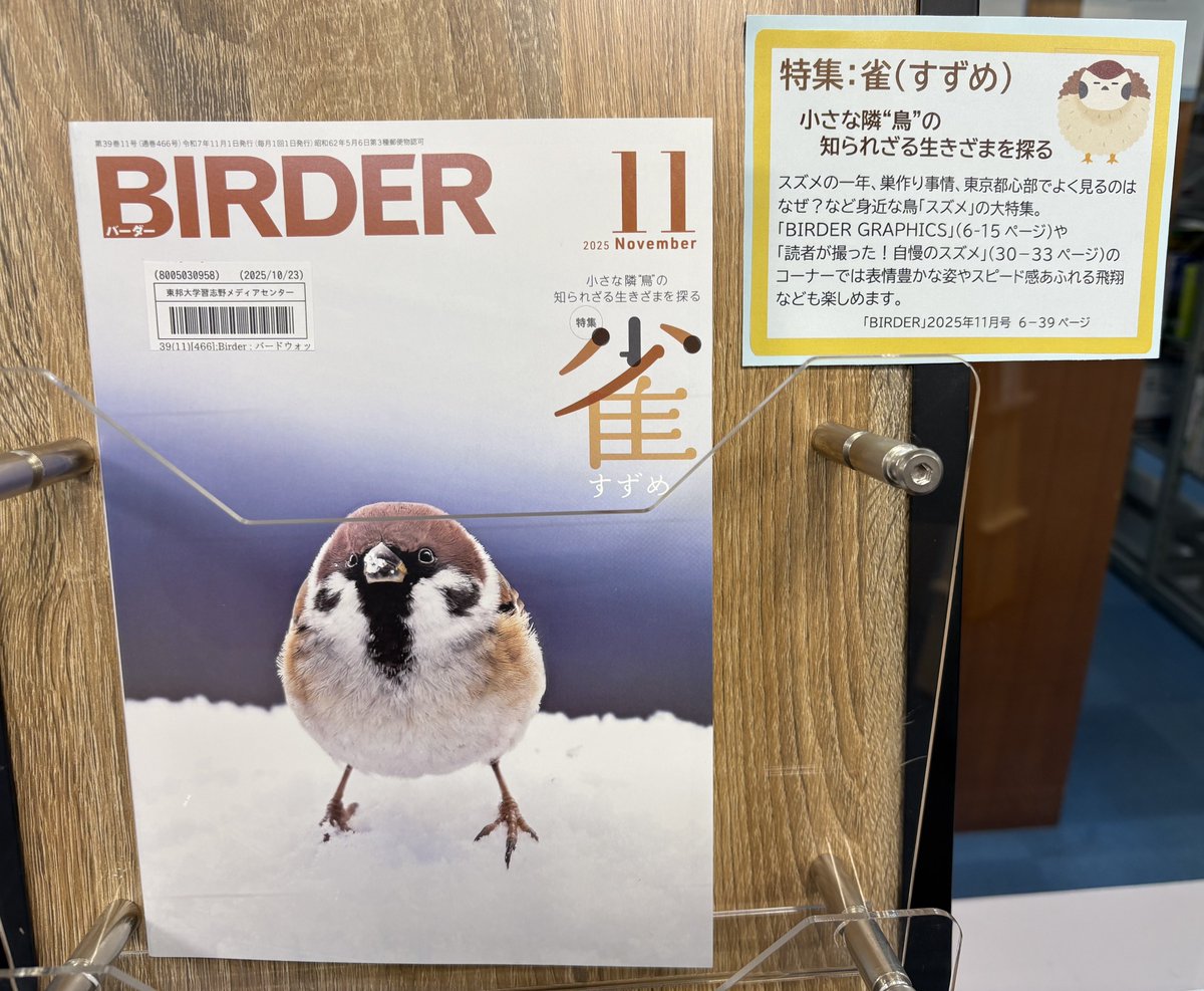 メイちゃんコメ欄 めいちゃん on X