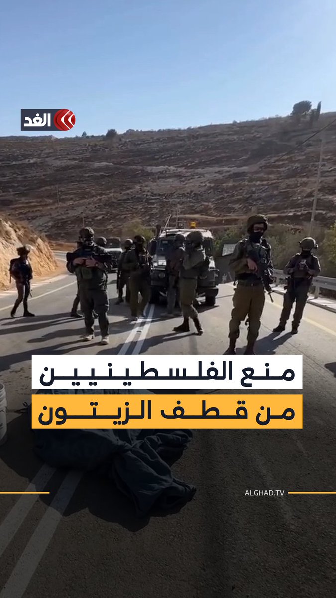 مستوطنون تحت حماية جيش الاحتلال يمنعون المزارعين الفلسطينيين من قطف ثمار الزيتون شرقي الخليل #قناة_الغد 