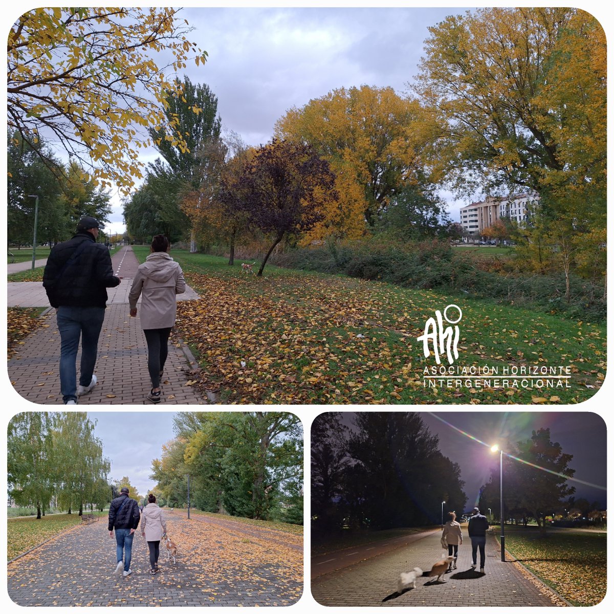 ahiburgos's tweet photo. 🌿 Caminando Sinergias AHIBurgos – 2º Aniversario (2023–2025)
Dos años caminando en sintonía con la vida, compartiendo pasos, risas y buenas conversaciones entre los colores del otoño 🍁✨
📅 22 oct 2025 · Burgos
👉 Más info: https://t.co/yoF3UKwWdg
#CaminandoSinergias #AHIBurgos https://t.co/zlafqjuSms