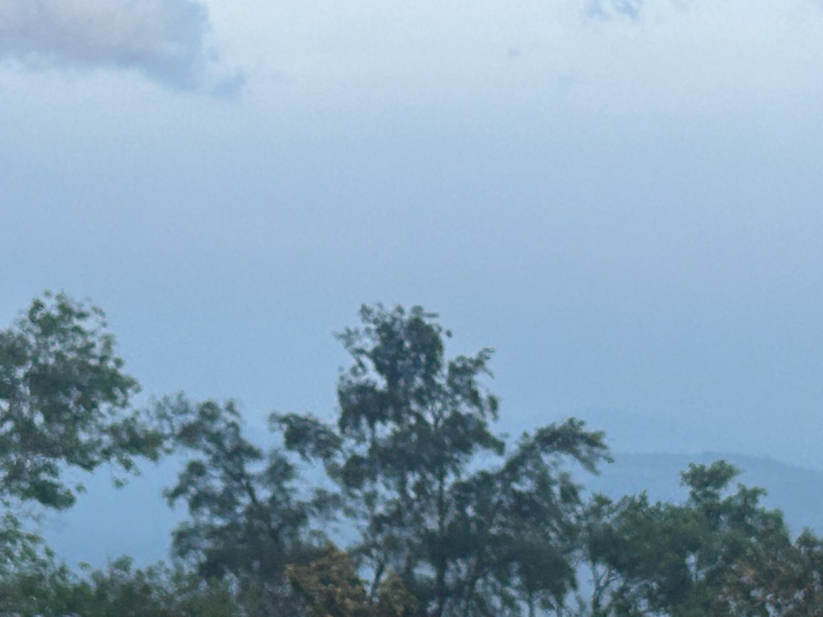 SeemaSh46712468's tweet image. Just make your as simple as possible 😎
Very surreal morning at #Saputara #Gujarat
SkyMedia…Post your sky pictures
Have Fantastic Friday ahead 🤩🙌🏻🌄❤️🙋♀️
#theme_pic_India_skypics
#Sclick
#Sऊवाच😍
#MorningVibes
#ThePhotoHour #Dang