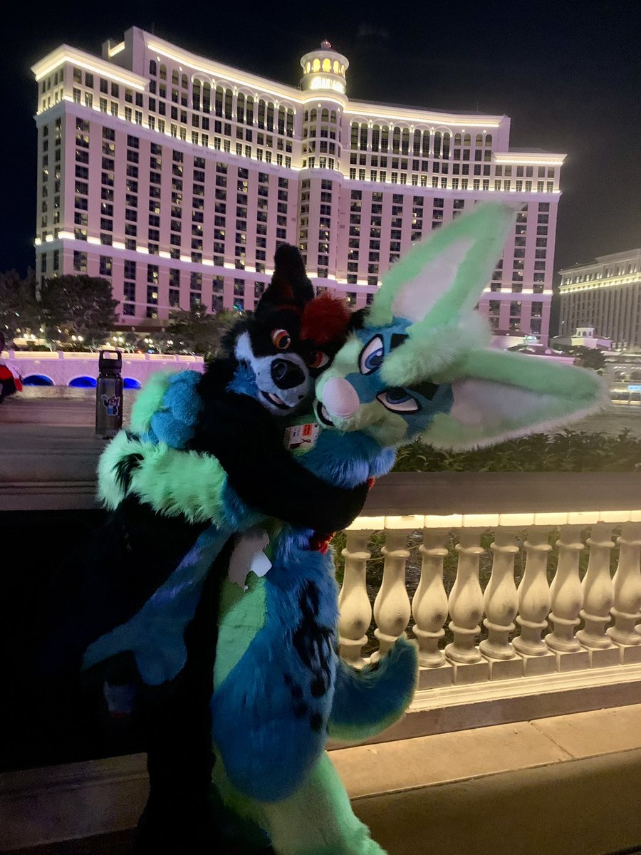 yaaaaay!!! it’s the dingo’s borkday! go bully him. 🥳

<a href="/defend_dingo/">Nicolas Cage</a>