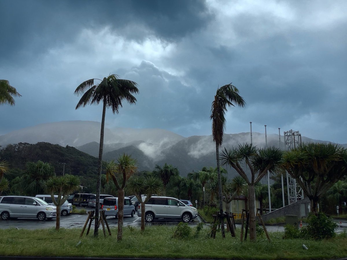 しかしあれ以来1日も晴れが無いのは酷