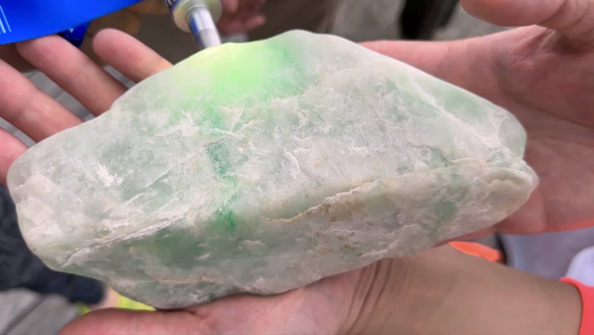 贅沢品❣️本翡翠　貴重なアップルグリーン翡翠・吉祥如意紋付きの発財白菜　鑑定書付き 贅沢品❣️本翡翠 貴重なアップルグリーン翡翠・吉祥如意紋付き