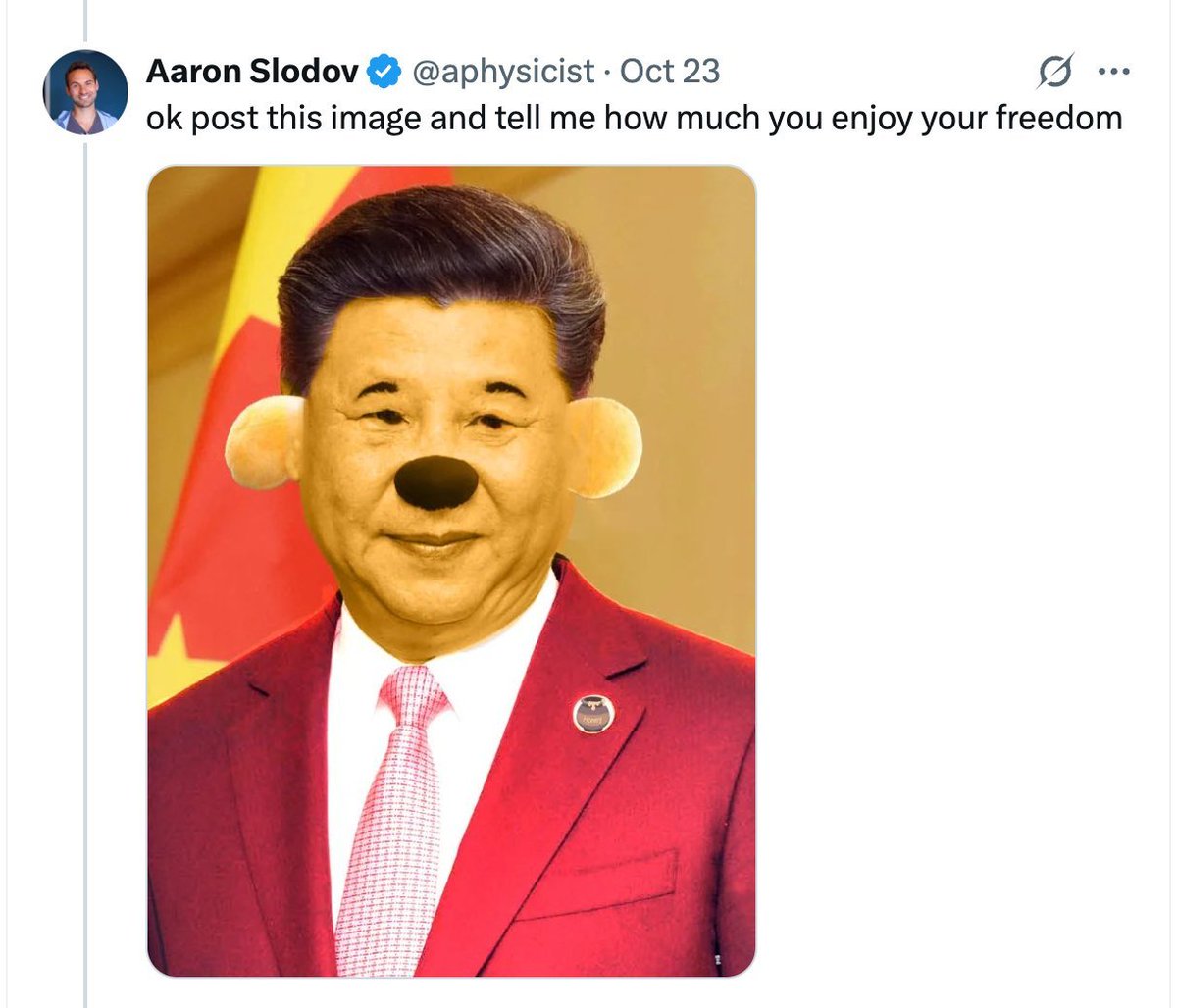 These stupid Western idiots often mock Chinese:
“You can’t even say Winnie the Pooh!”
They take pride in being able to mock their leaders, insult presidents, desecrate flags and call it freedom.

But is that really freedom?
Or is it just another performance of inferiority,