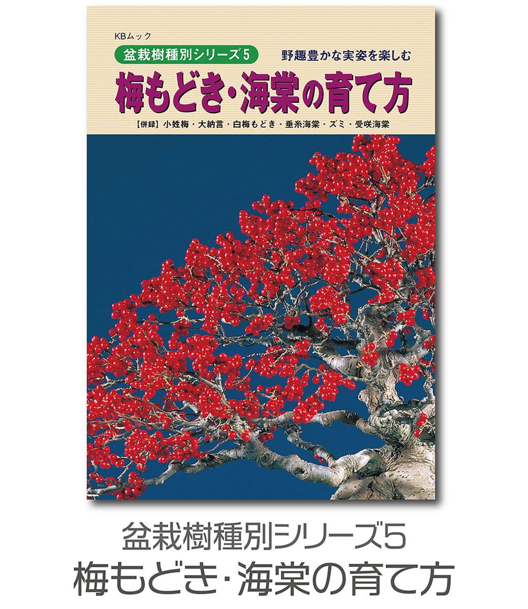特別価格**「紅葉は、過去を美しく手放し、未来への扉を静かに開く力
