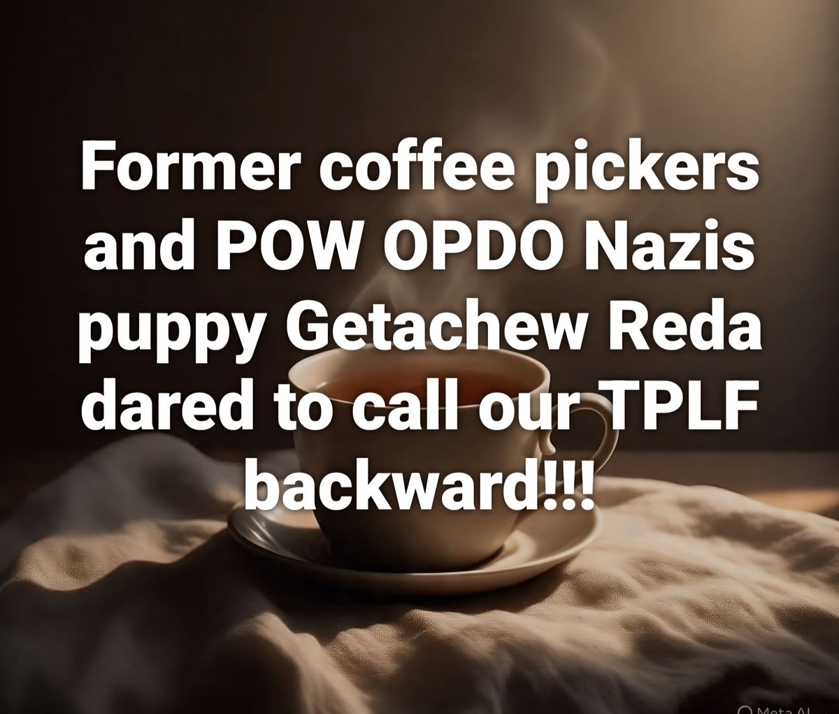 LemlemTigest's tweet image. #Former #coffee #pickers and #POW #OPDO #Nazis #puppy #Getachew #Reda #dared to #call #our #TPLF #backward.