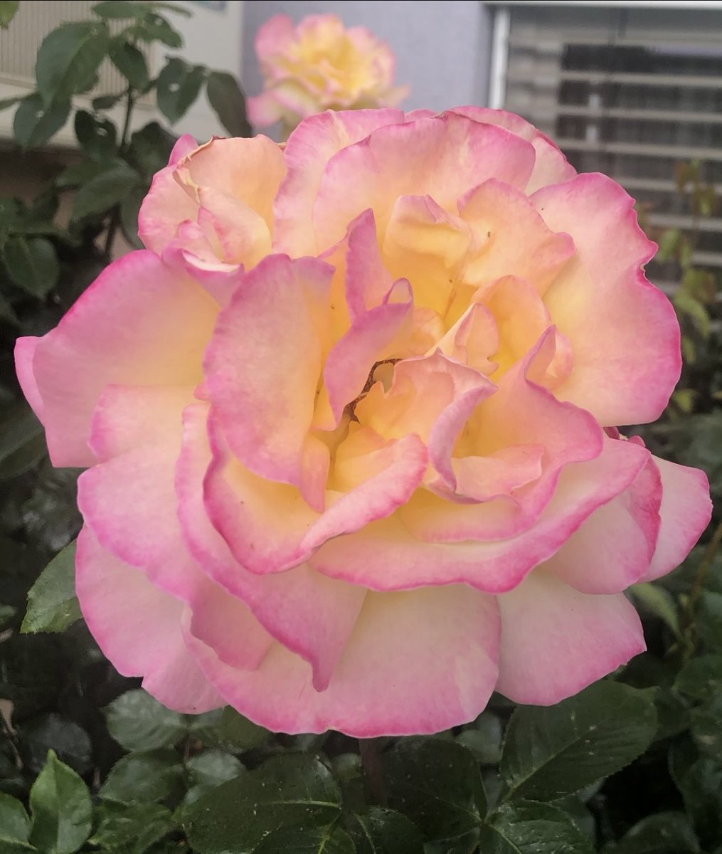 Cumamız mübarek 🇹🇷