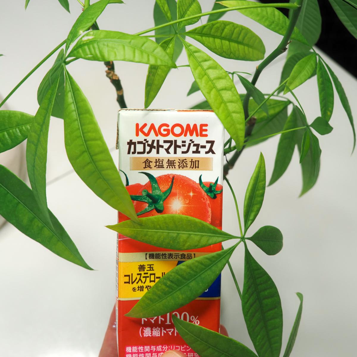 pagpag1994's tweet image. 血圧って、自覚症状がないからこそ、こまめな測定が大切ですよね。GBAやリコピンの力を借りて、これから少しずつ理想の数値を目指していきたい！
#トマトジュースと血圧計で健康習慣