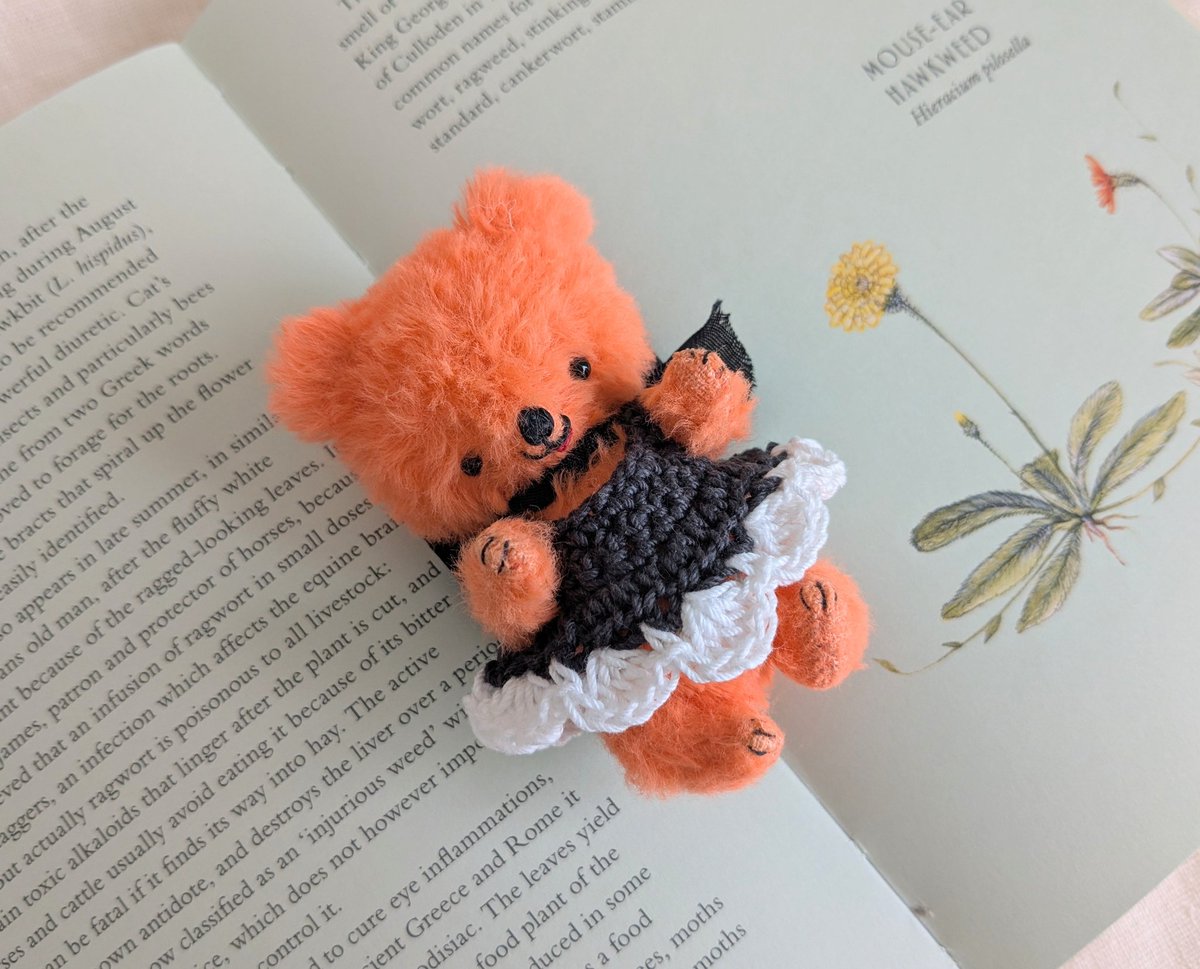 ちさ/テディベア作家🐻 (@chisa_teddybear) / Posts and Replies / X