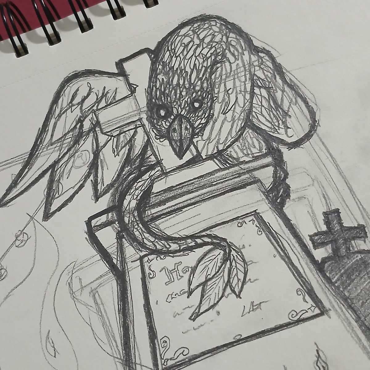 RigsMapache's tweet image. 