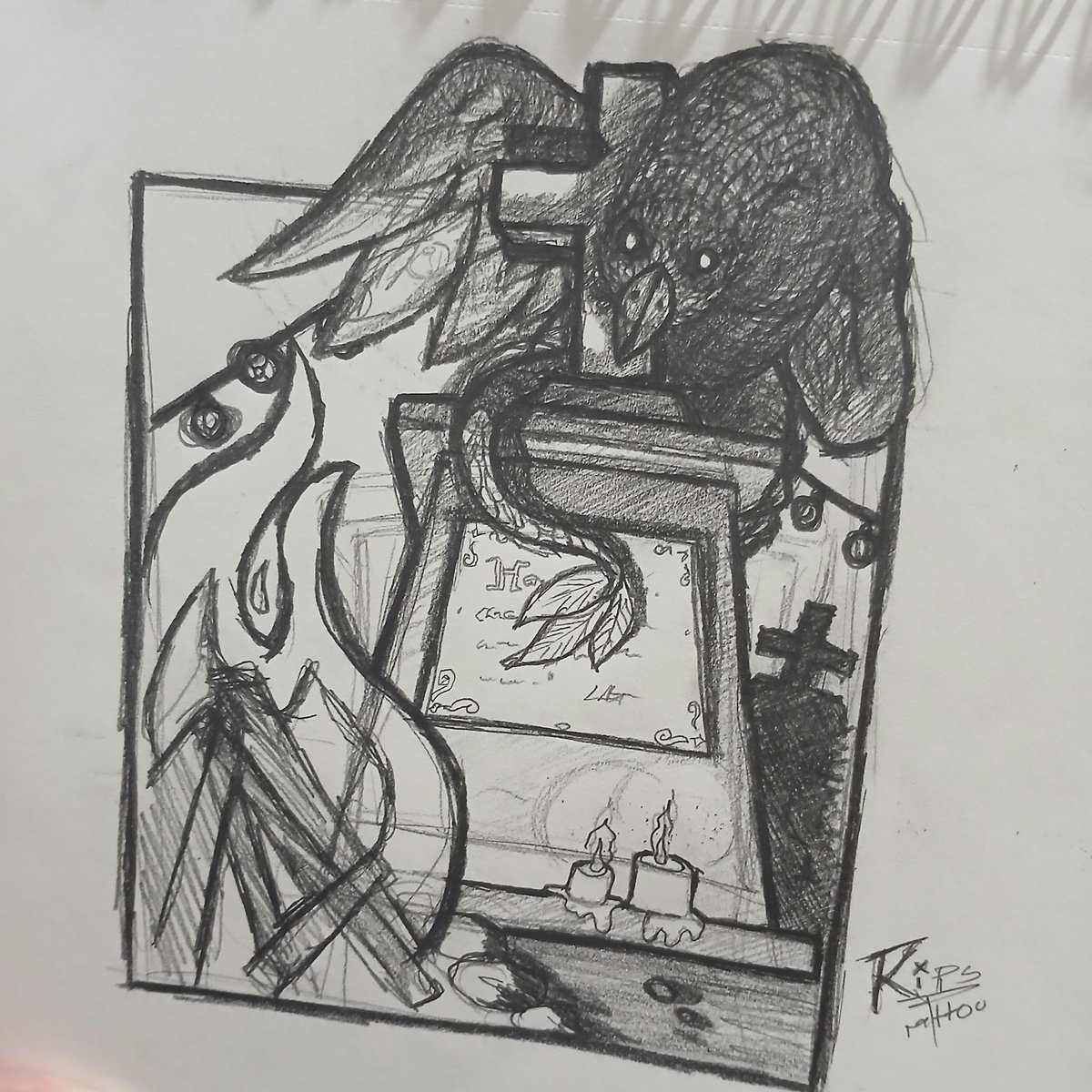 RigsMapache's tweet image. 