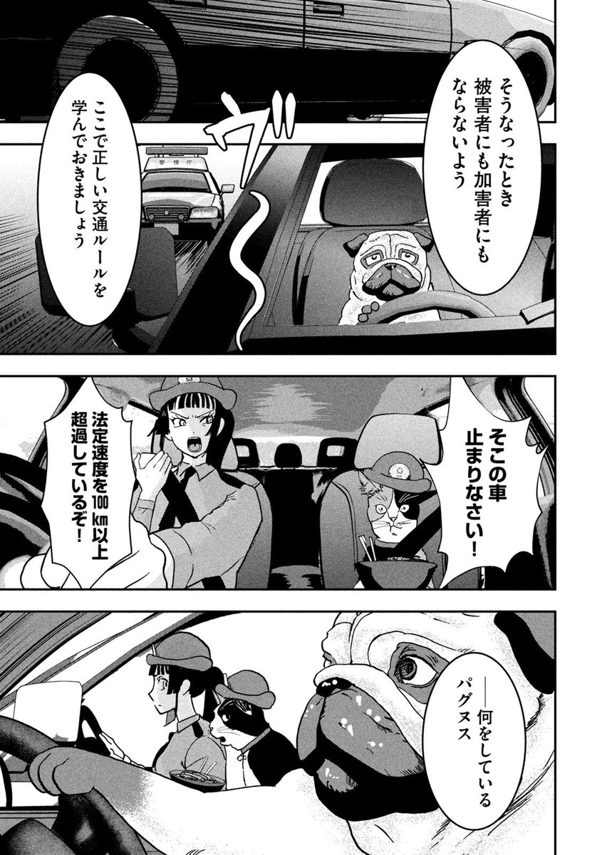 犬と猫がカーチェイスする話(1/6)
#漫画が読めるハッシュタグ 
