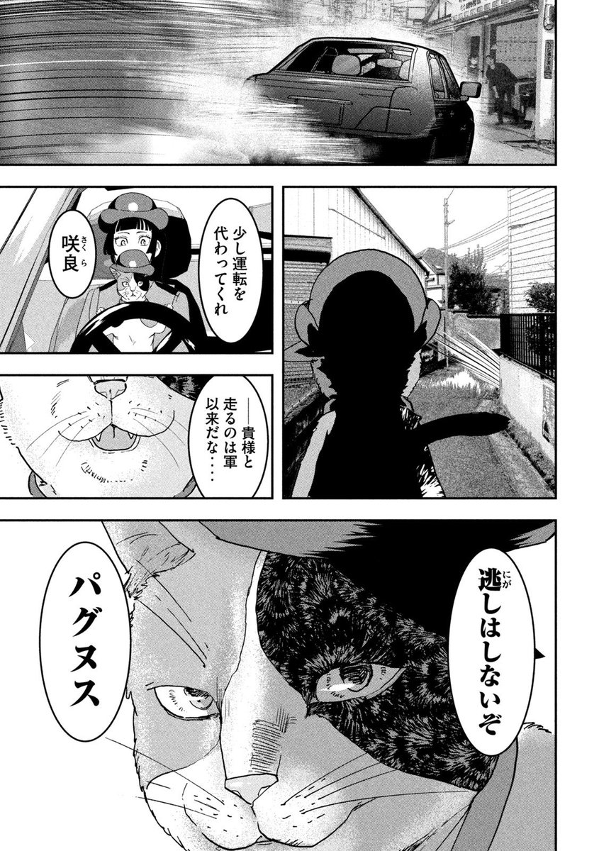 (3/6) 