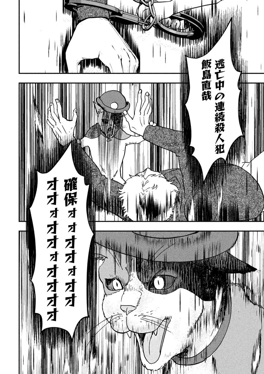 (6/6) 