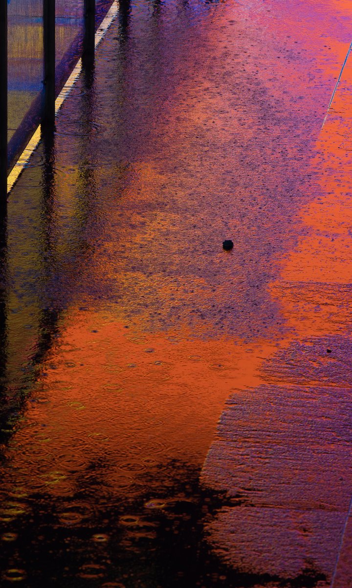 Hasselblad's tweet image. Puddles scatter the city’s lights, fracturing into abstract mosaics of colour and motion. Medium format and Hasselblad tones capture each moment, sharp yet ephemeral, alive with subtle energy.
📷 X2D II 100C & XCD 35–100E
#Hasselblad #X2DII #X2D2 #MediumFormat